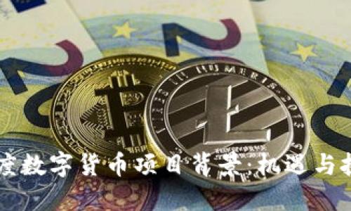 印度数字货币项目背景:机遇与挑战