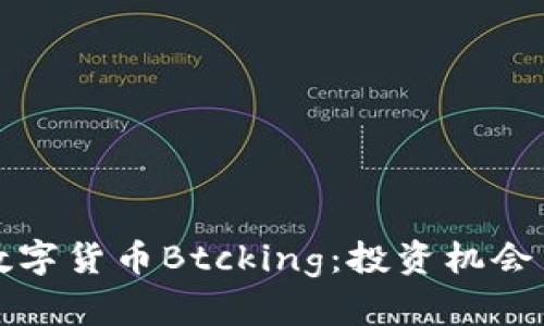 全面解析数字货币Btcking:投资机会与风险评估