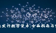 如何有效发行数字货币:全面指南与实践经验