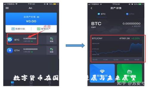 数字货币在国际上的进展与未来展望