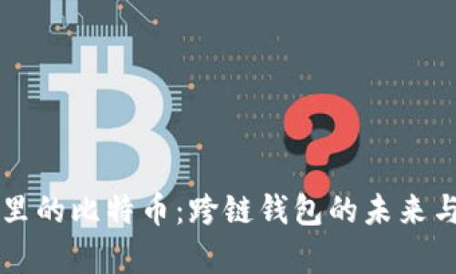 以太坊钱包里的比特币:跨链钱包的未来与安全性分析