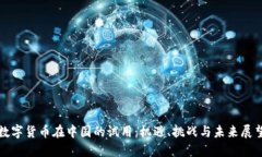 数字货币在中国的试用:机遇、挑战与未来展望