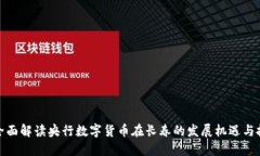 : 全面解读央行数字货币在长春的发展机遇与挑战