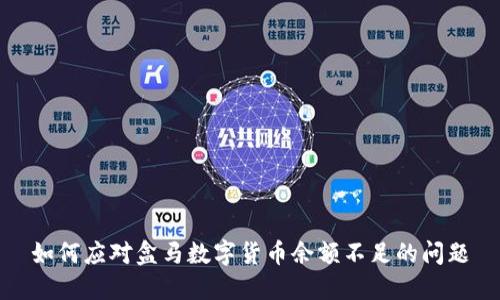 如何应对盒马数字货币余额不足的问题