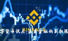 义乌数字货币试点:未来金融的新机遇与挑战