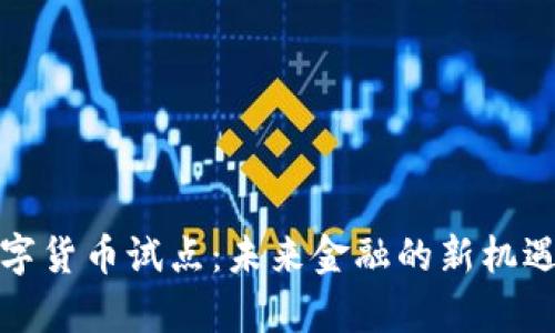 义乌数字货币试点:未来金融的新机遇与挑战