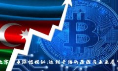 数字货币涨幅揭秘:达到千倍的原因与未来展望