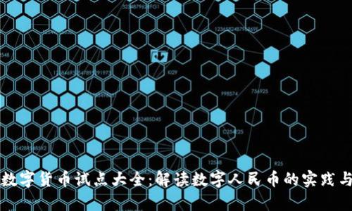 中国数字货币试点大全:解读数字人民币的实践与前景