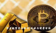 印度数字货币软件:现状与前景分析
