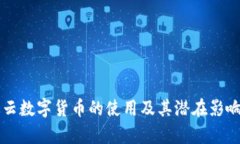 满星云数字货币的使用及其潜在影响分析