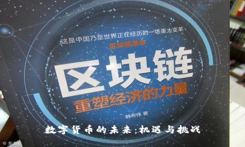 数字货币的未来:机遇与挑战