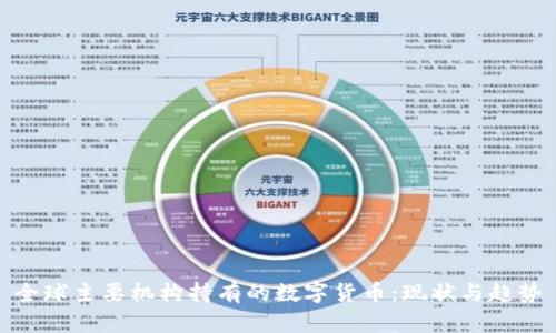 全球主要机构持有的数字货币:现状与趋势