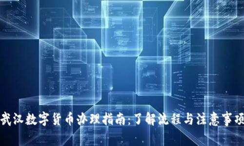 武汉数字货币办理指南:了解流程与注意事项